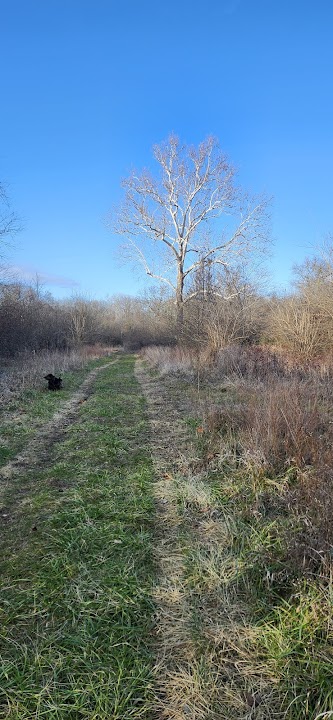 Longview Lake Horse-Hike Trail