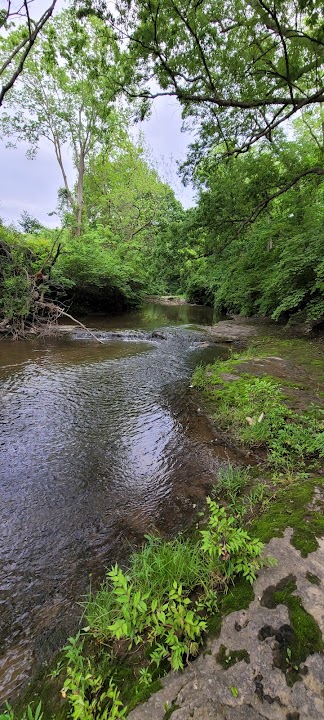 Rotary Park