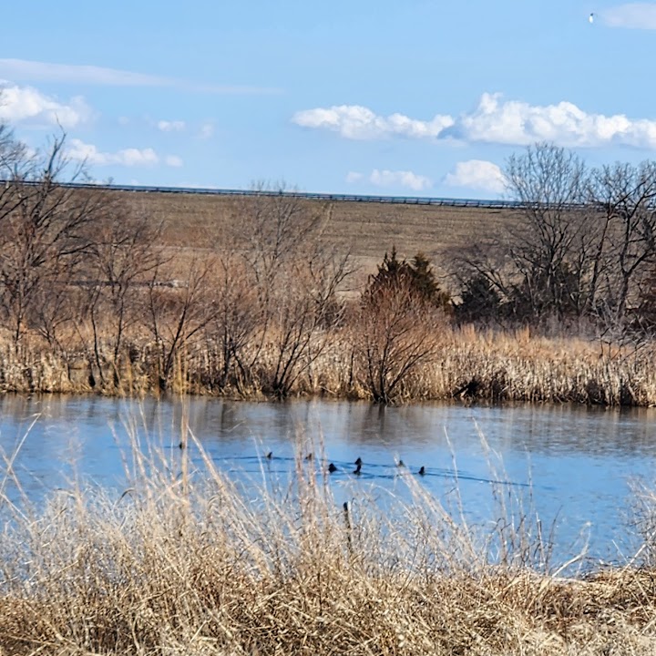 Blue Springs Lake Wetland