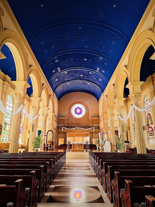 The Cathedral of the Immaculate Conception