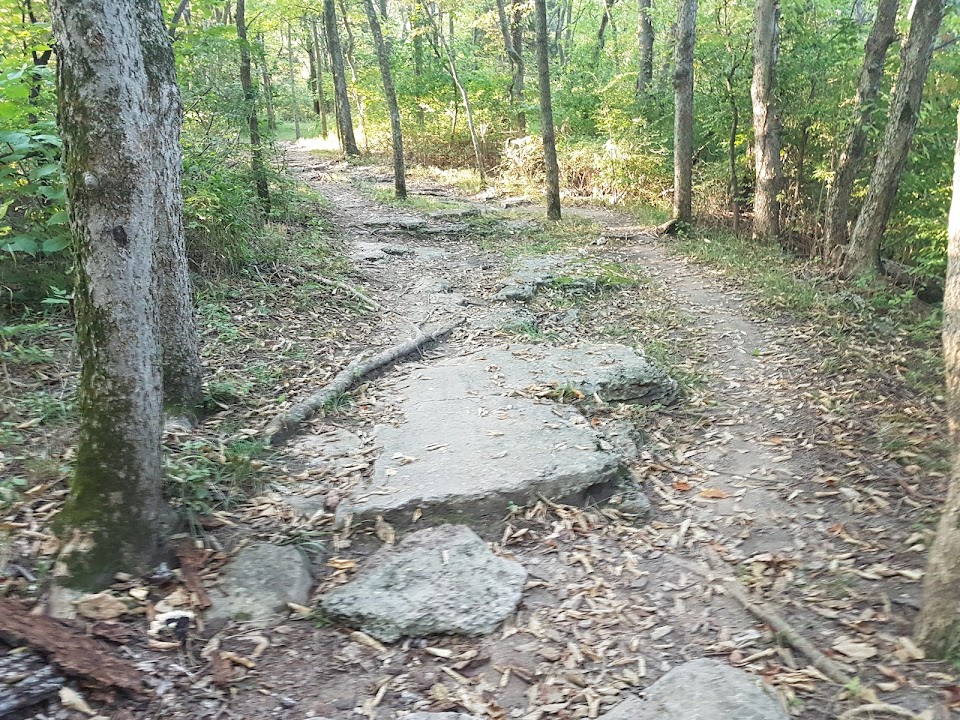 Landahl Mountain Bike Park