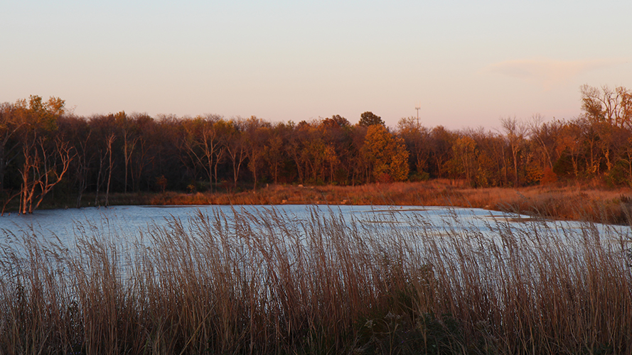 Cedar Station Park - Mize Lake