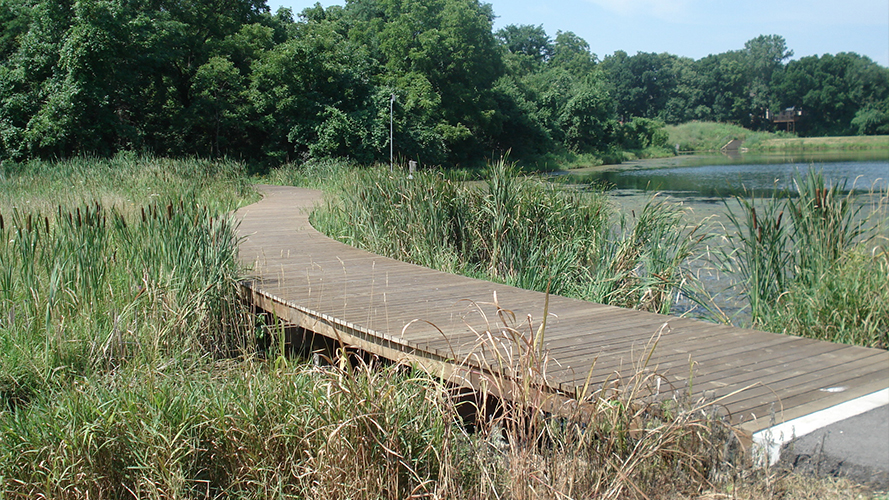 Hidden Woods Park