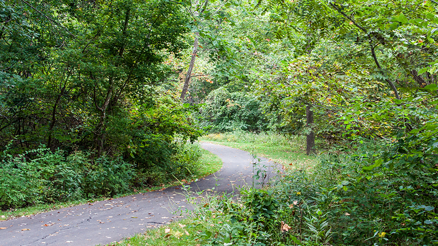 Little Mill Creek South Park