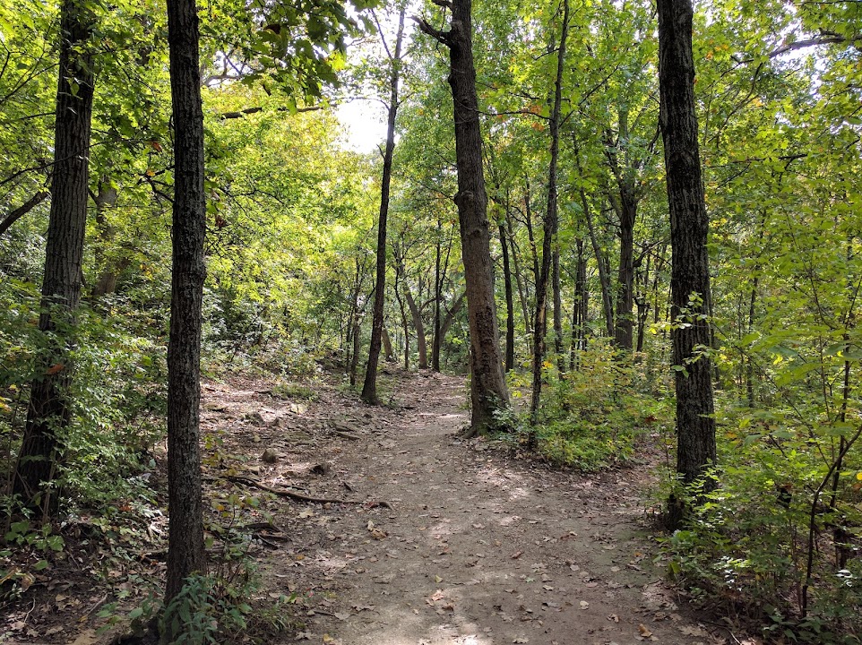 Rosedale Park