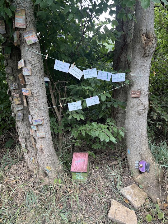 Powerline Lane: A Fairy Community