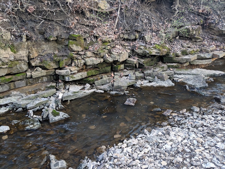 Amity Woods Nature Park