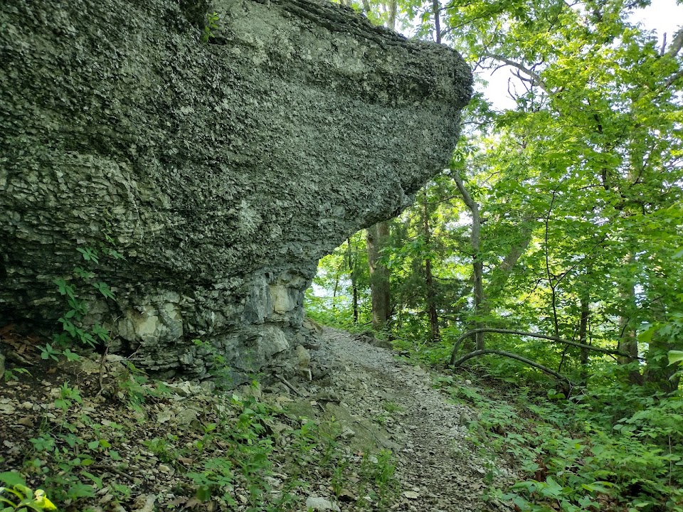 North Shore Trail