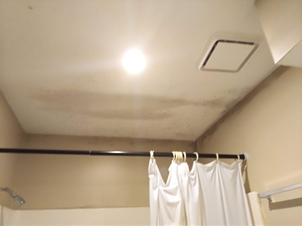 Randall Court Apartment