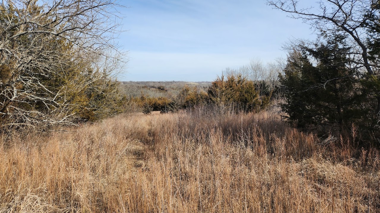 Jerry Smith Park - Trail Head