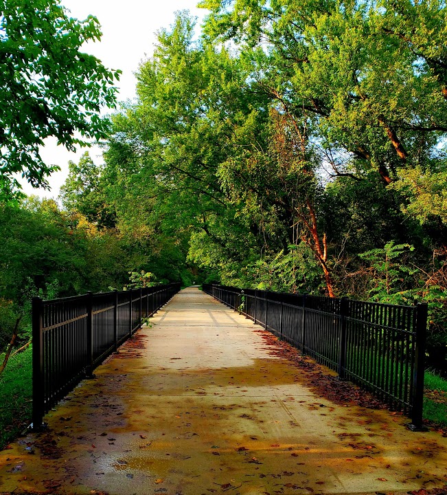 Rock Island Trailhead Hartman Park